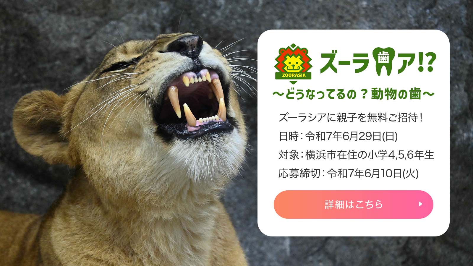 ズーラ歯ア!?〜どうなってるの？動物の歯〜